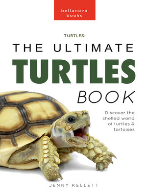 cover image of Turtles the Ultimate Turtles Book
